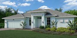 Island Elevation 